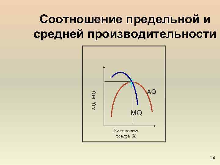 AQ, MQ Соотношение предельной и средней производительности AQ MQ Количество товара X 24 