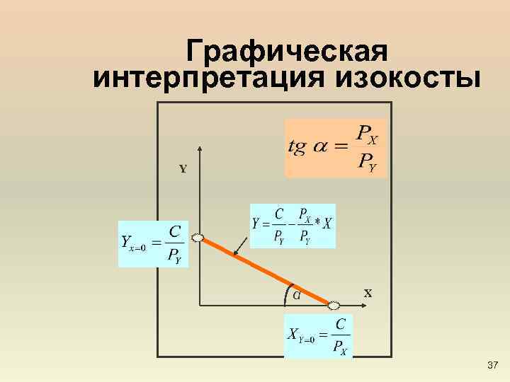 Графическая интерпретация изокосты Y α X 37 