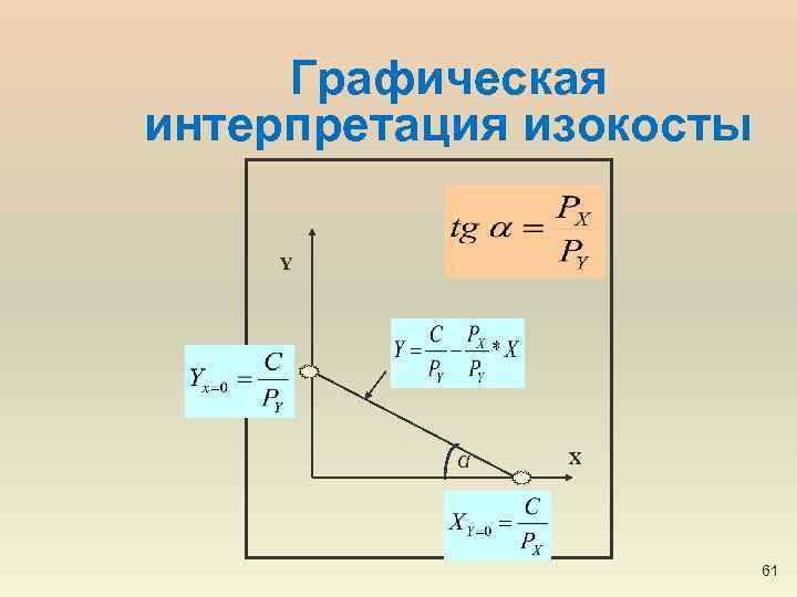 Графическая интерпретация изокосты Y α X 61 