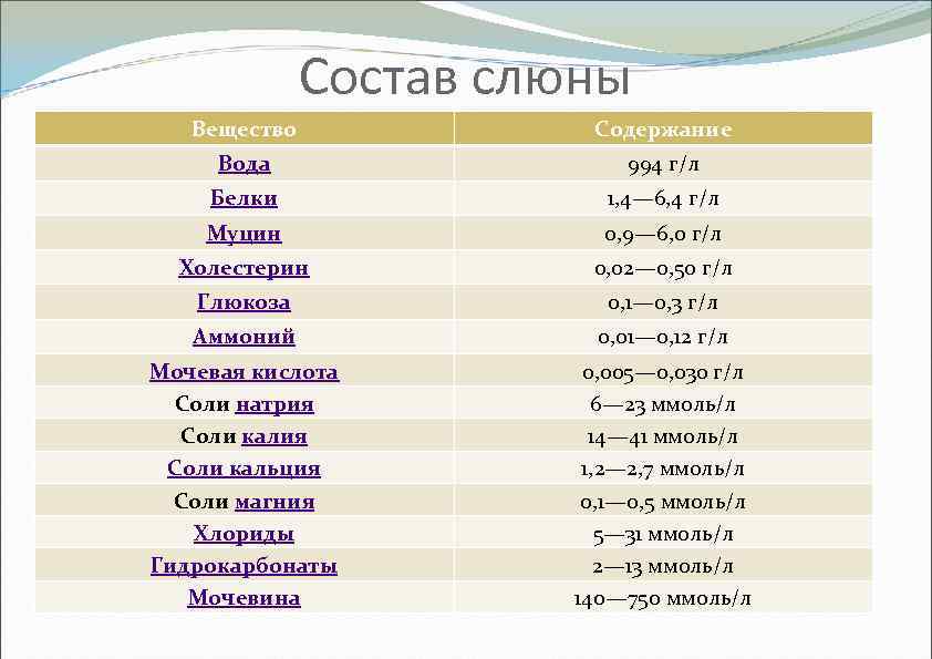 Состав слюны Вещество Содержание Вода 994 г/л Белки 1, 4— 6, 4 г/л Муцин