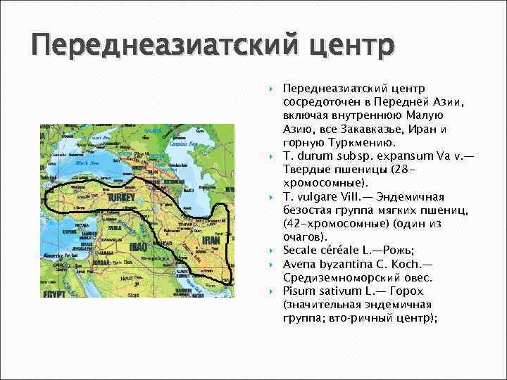 Переднеазиатский центр Переднеазиатский центр сосредоточен в Передней Азии, включая внутреннюю Малую Азию, все Закавказье,