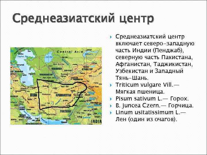 Среднеазиатский центр Среднеазиатский центр включает северо-западную часть Индии (Пенджаб), северную часть Пакистана, Афганистан, Таджикистан,