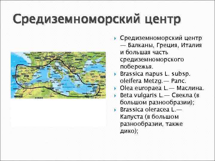 Средиземноморский центр Средиземноморский центр — Балканы, Греция, Италия и большая часть средиземноморского побережья. Brassica