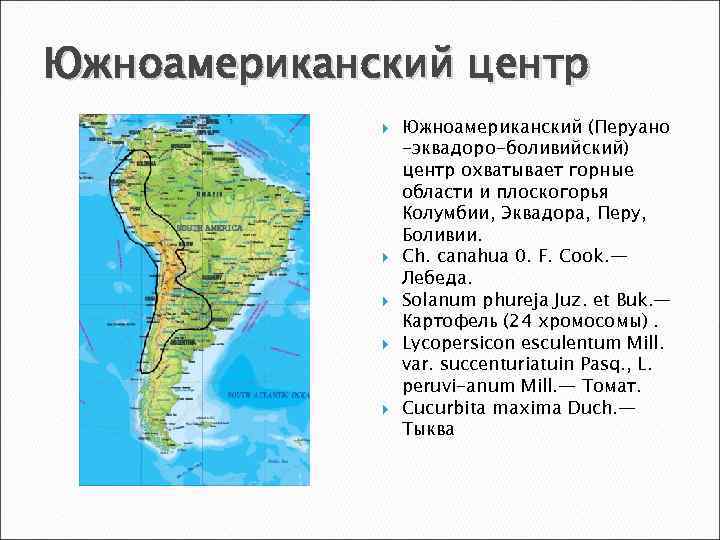 Южноамериканский центр Южноамериканский (Перуано -эквадоро-боливийский) центр охватывает горные области и плоскогорья Колумбии, Эквадора, Перу,