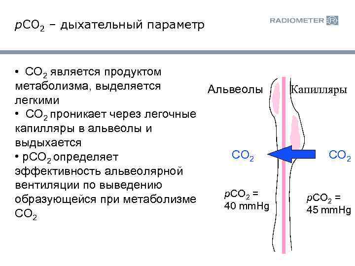 p. CO 2 – дыхательный параметр • CO 2 является продуктом метаболизма, выделяется Альвеолы