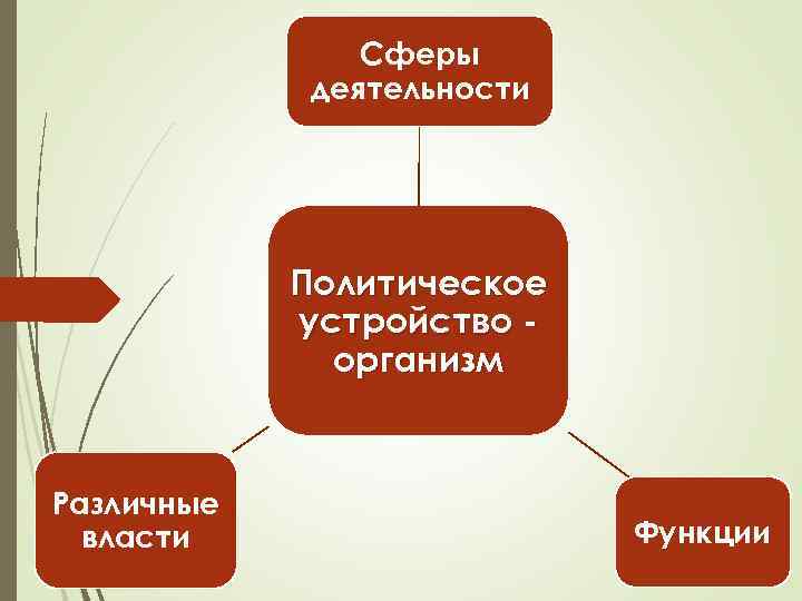 Сферы деятельности Политическое устройство организм Различные власти Функции 