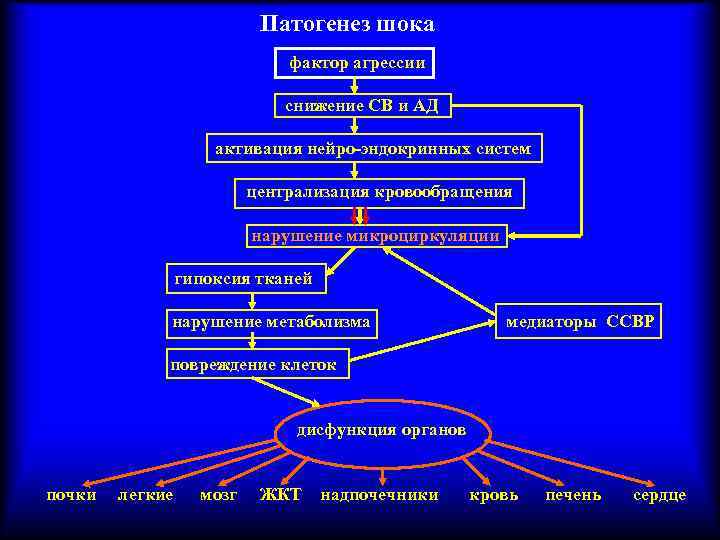 Патогенез шока фактор агрессии снижение СВ и АД активация нейро-эндокринных систем централизация кровообращения нарушение