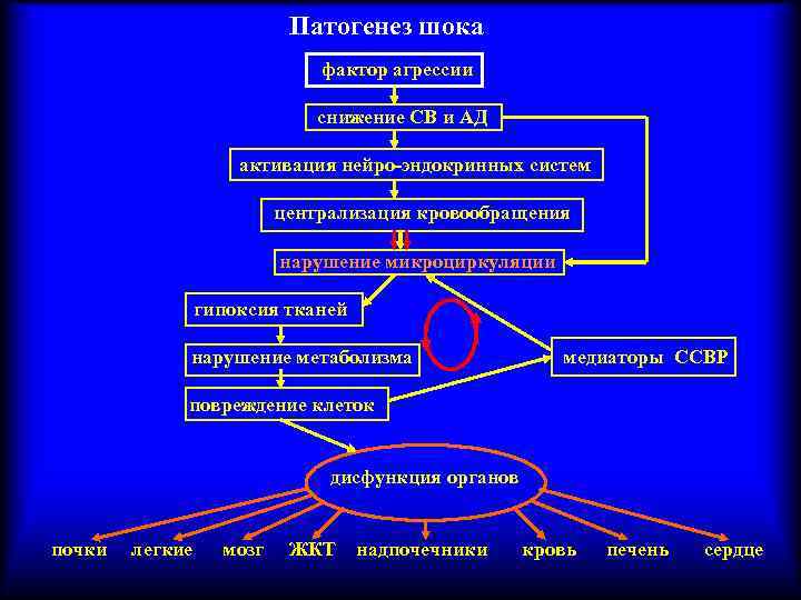 Патогенез шока фактор агрессии снижение СВ и АД активация нейро-эндокринных систем централизация кровообращения нарушение