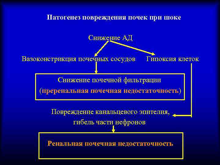Патогенез повреждения почек при шоке Снижение АД Вазоконстрикция почечных сосудов Гипоксия клеток Снижение почечной