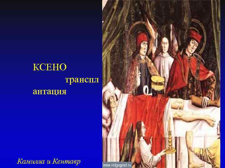 КСЕНО транспл антация Камилла и Кентавр 