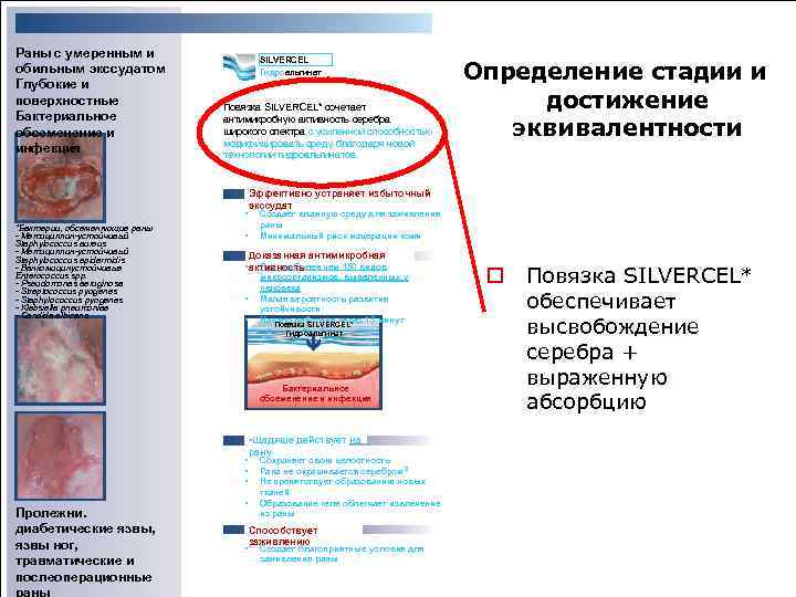 Раны с умеренным и обильным экссудатом Глубокие и поверхностные Бактериальное обсеменение и инфекция SILVERCEL