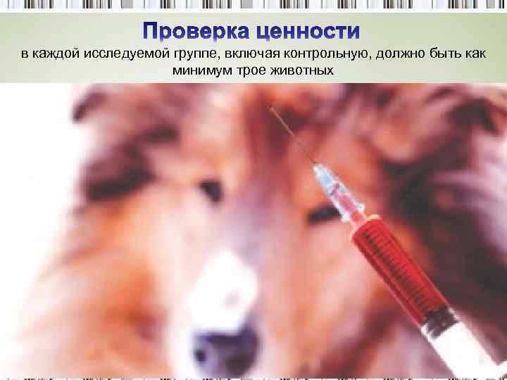 в каждой исследуемой группе, включая контрольную, должно быть как минимум трое животных 