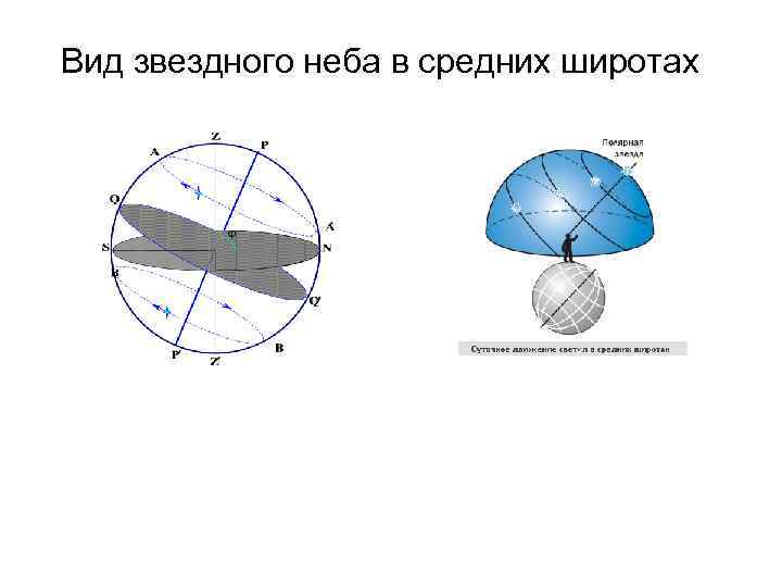 Изобразите на чертеже небесную сферу в проекции на плоскость небесного меридиана