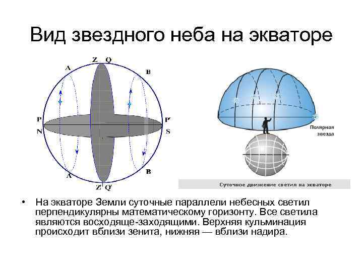 На рисунке изображено суточное движение светил на полюсе земли подпишите где находится точка надира