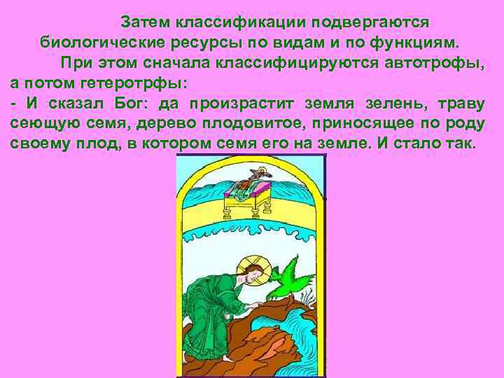 Затем классификации подвергаются биологические ресурсы по видам и по функциям. При этом сначала классифицируются