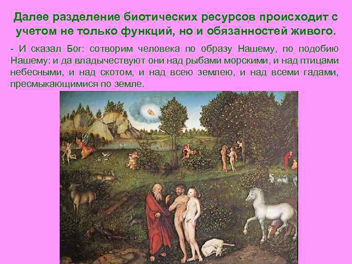 Далее разделение биотических ресурсов происходит с учетом не только функций, но и обязанностей живого.