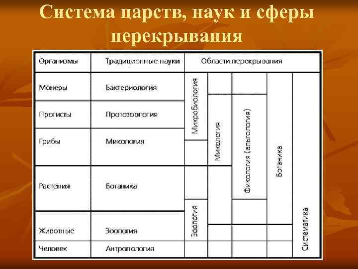Система царств, наук и сферы перекрывания 