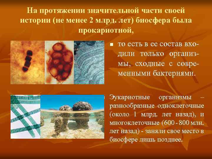 На протяжении значительной части своей истории (не менее 2 млрд. лет) биосфера была прокариотной,
