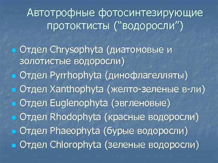 Автотрофные фотосинтезирующие протоктисты (“водоросли”) n n n n Отдел Chrysophyta (диатомовые и золотистые водоросли)