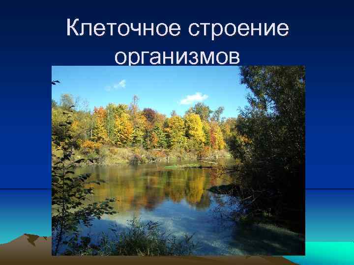 Клеточное строение организмов 