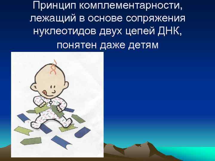 Принцип комплементарности, лежащий в основе сопряжения нуклеотидов двух цепей ДНК, понятен даже детям 