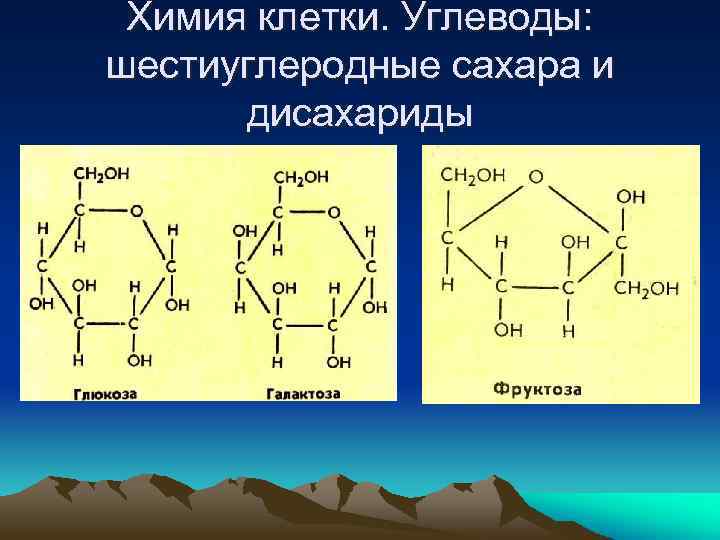 Химия клетки. Углеводы: шестиуглеродные сахара и дисахариды 