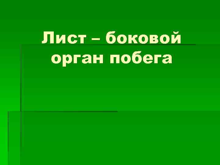 Лист – боковой орган побега 