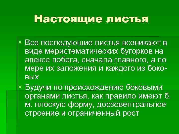 Настоящие листья § Все последующие листья возникают в виде меристематических бугорков на апексе побега,