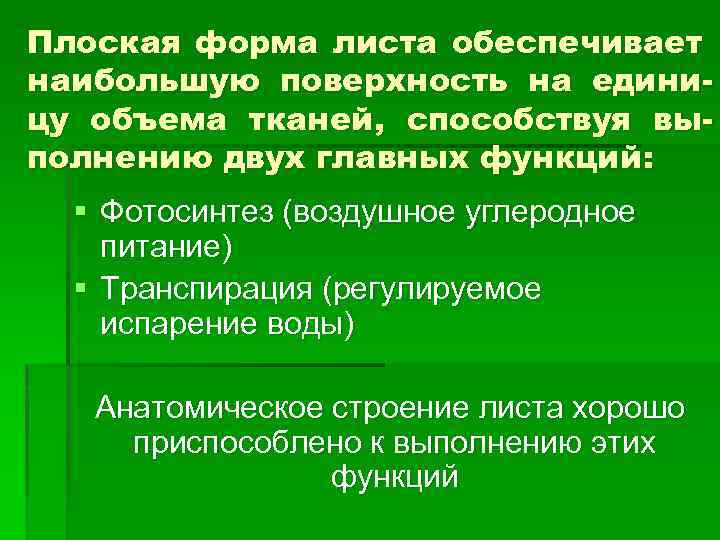 Плоская форма листа обеспечивает наибольшую поверхность на единицу объема тканей, способствуя выполнению двух главных