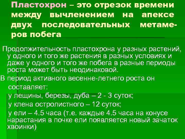Пластохрон – это отрезок времени между вычленением на апексе двух последовательных метамеров побега Продолжительность