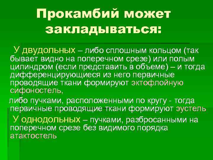 Прокамбий может закладываться: У двудольных – либо сплошным кольцом (так бывает видно на поперечном