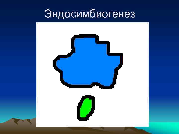 Эндосимбиогенез 