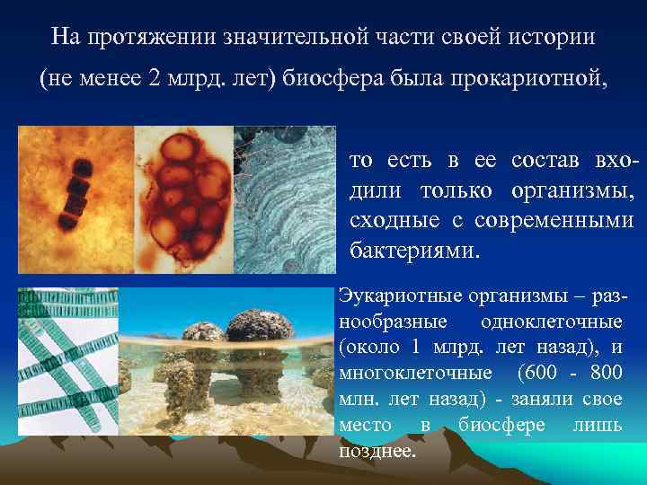 На протяжении значительной части своей истории (не менее 2 млрд. лет) биосфера была прокариотной,
