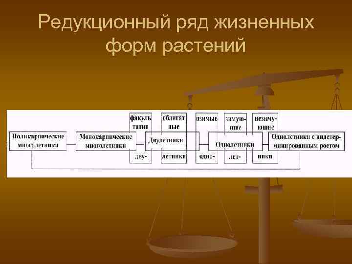 Редукционный ряд жизненных форм растений 