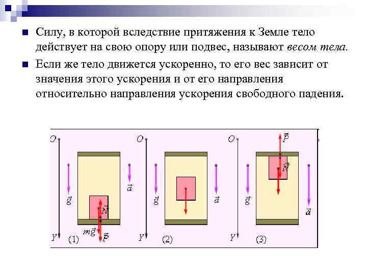 n n Силу, в которой вследствие притяжения к Земле тело действует на свою опору