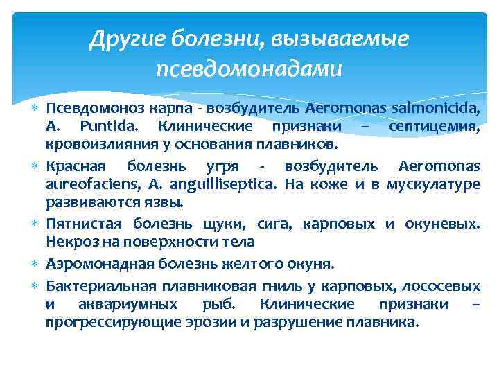 Другие болезни, вызываемые псевдомонадами Псевдомоноз карпа - возбудитель Aeromonas salmonicida, A. Puntida. Клинические признаки