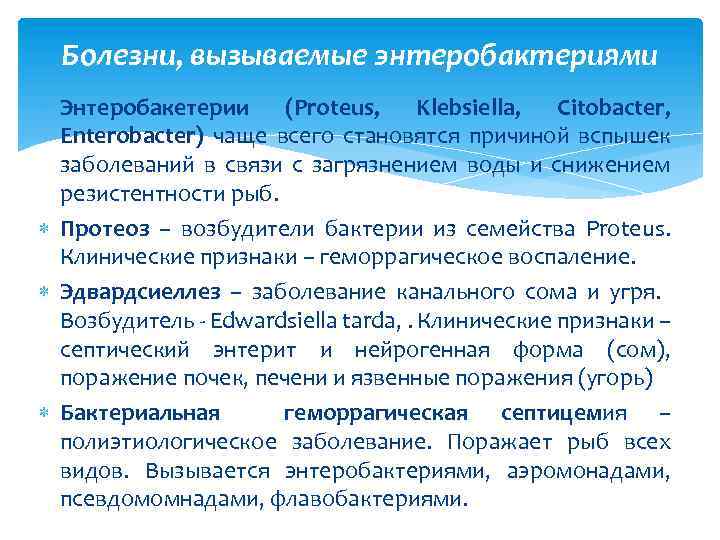 Болезни, вызываемые энтеробактериями Энтеробакетерии (Proteus, Klebsiella, Citobacter, Enterobacter) чаще всего становятся причиной вспышек заболеваний