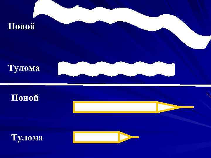 Поной Тулома 