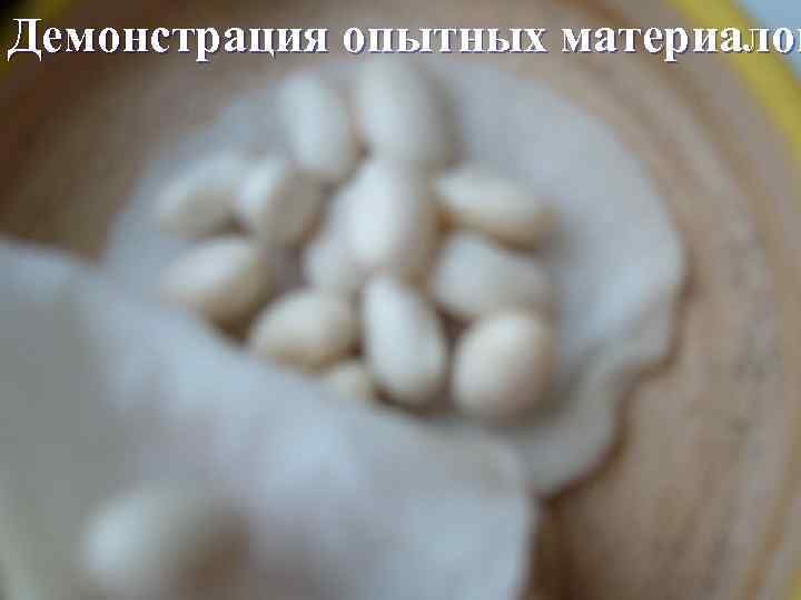 Демонстрация опытных материалов 