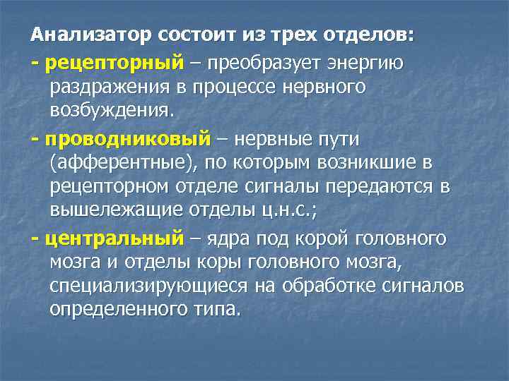 Анализатор состоит из трех отделов: - рецепторный – преобразует энергию раздражения в процессе нервного