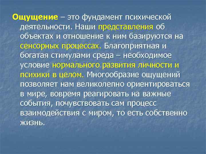 Ощущение – это фундамент психической деятельности. Наши представления об объектах и отношение к ним