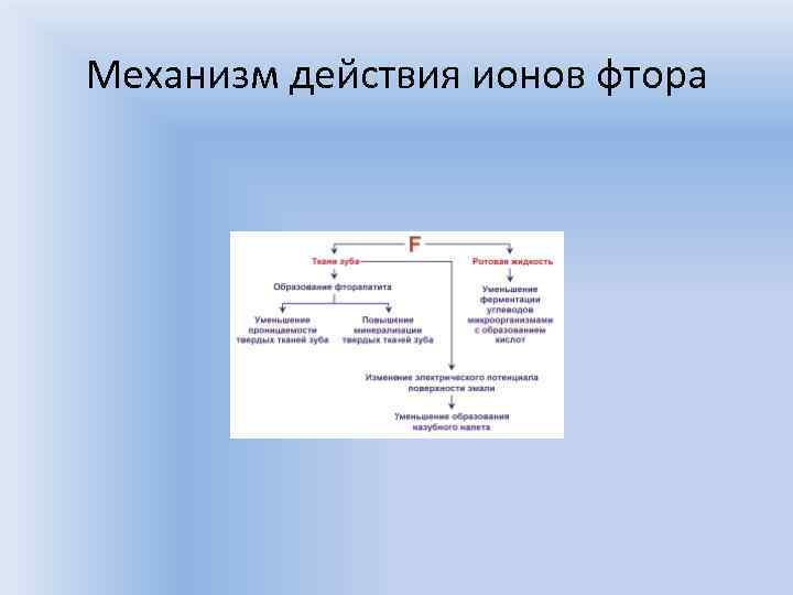 Механизм действия ионов фтора 