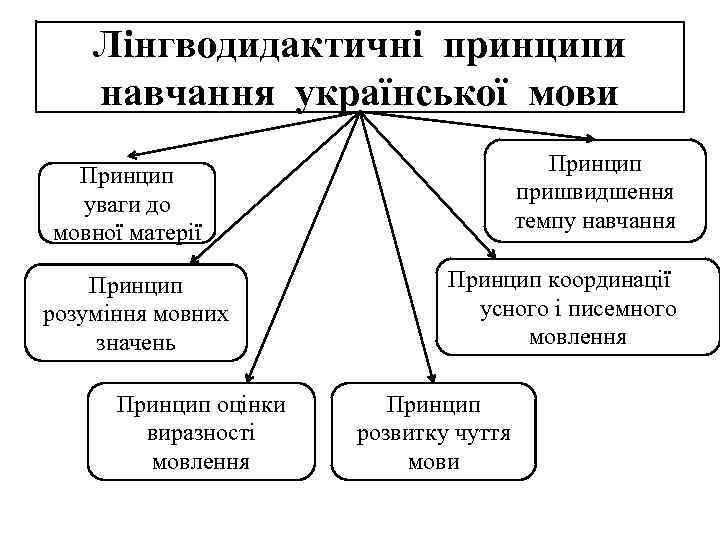 Лінгводидактичні принципи навчання української мови Принцип пришвидшення темпу навчання Принцип уваги до мовної матерії