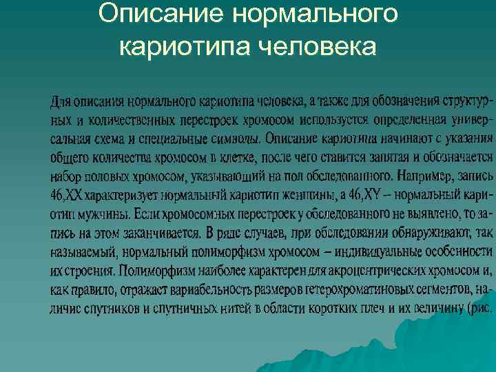 Описание нормального кариотипа человека 