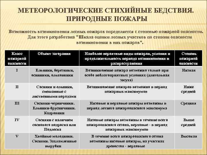 МЕТЕОРОЛОГИЧЕСКИЕ СТИХИЙНЫЕ БЕДСТВИЯ. ПРИРОДНЫЕ ПОЖАРЫ Возможность возникновения лесных пожаров определяется с степенью пожарной опасности.