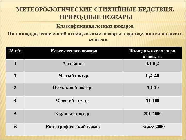 МЕТЕОРОЛОГИЧЕСКИЕ СТИХИЙНЫЕ БЕДСТВИЯ. ПРИРОДНЫЕ ПОЖАРЫ Классификация лесных пожаров По площади, охваченной огнем, лесные пожары