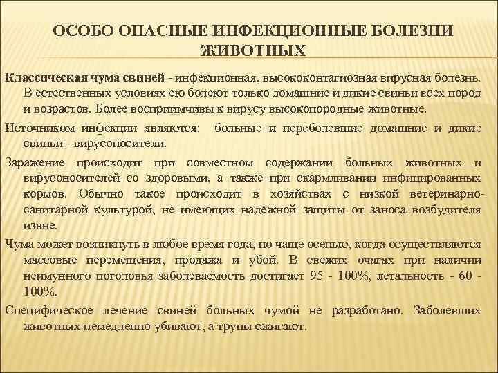 ОСОБО ОПАСНЫЕ ИНФЕКЦИОННЫЕ БОЛЕЗНИ ЖИВОТНЫХ Классическая чума свиней - инфекционная, высококонтагиозная вирусная болезнь. В