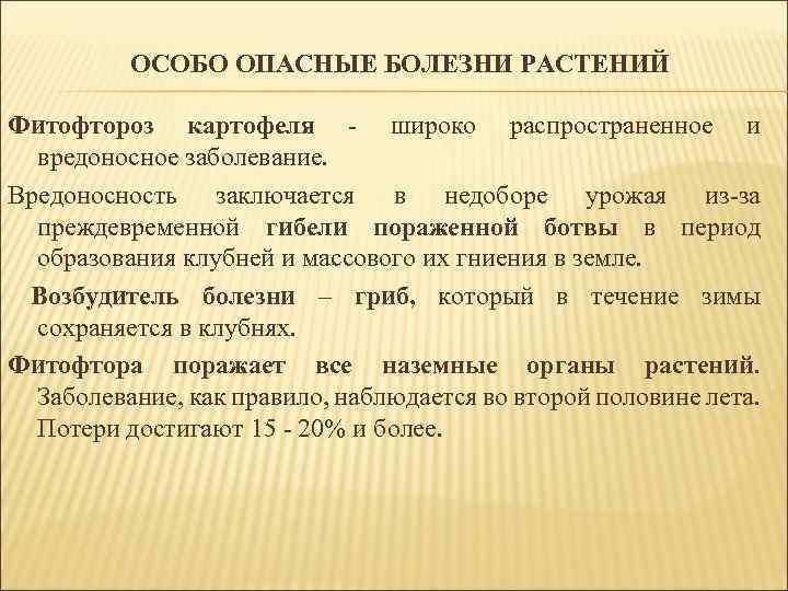 ОСОБО ОПАСНЫЕ БОЛЕЗНИ РАСТЕНИЙ Фитофтороз картофеля - широко распространенное и вредоносное заболевание. Вредоносность заключается