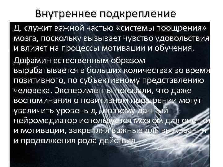 Внутреннее подкрепление Д. служит важной частью «системы поощрения» мозга, поскольку вызывает чувство удовольствия и