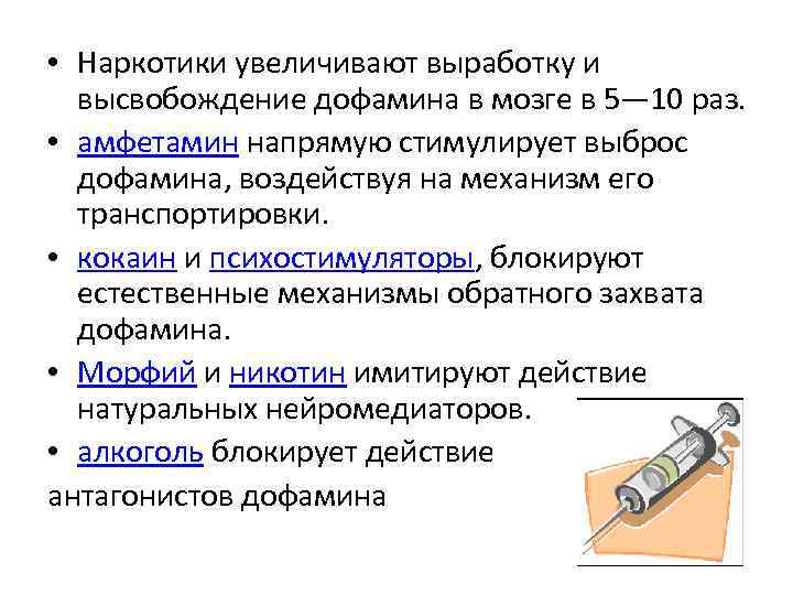  • Наркотики увеличивают выработку и высвобождение дофамина в мозге в 5— 10 раз.